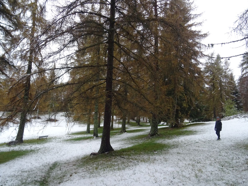 prime escursioni sulla neve....autunno  2019